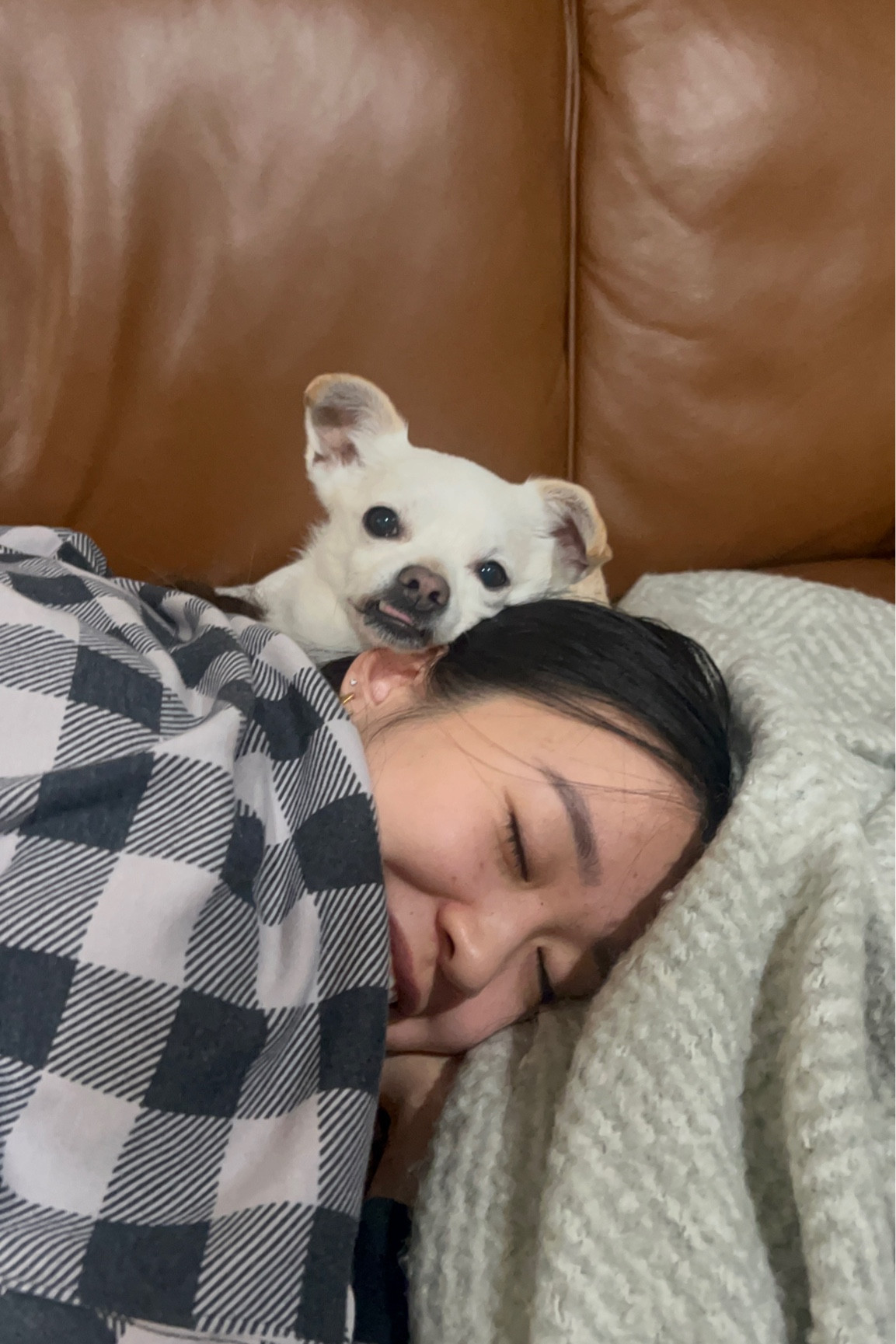 coy home essentials xx 

#LTKSpringSale #LTKfindsunder100 #LTKU