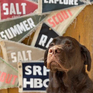 Vintage Inspired custom mini pennant bundle red and navy with shipping | Etsy (US)