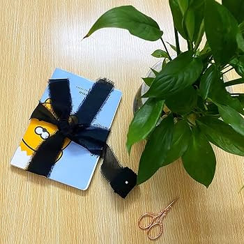 2 Rolls 1.5 Inch x 5.5 Yard Handmade Fringe Chiffon Ribbon Frayed Edges Silk-Like Ribbon Rustic R... | Amazon (US)