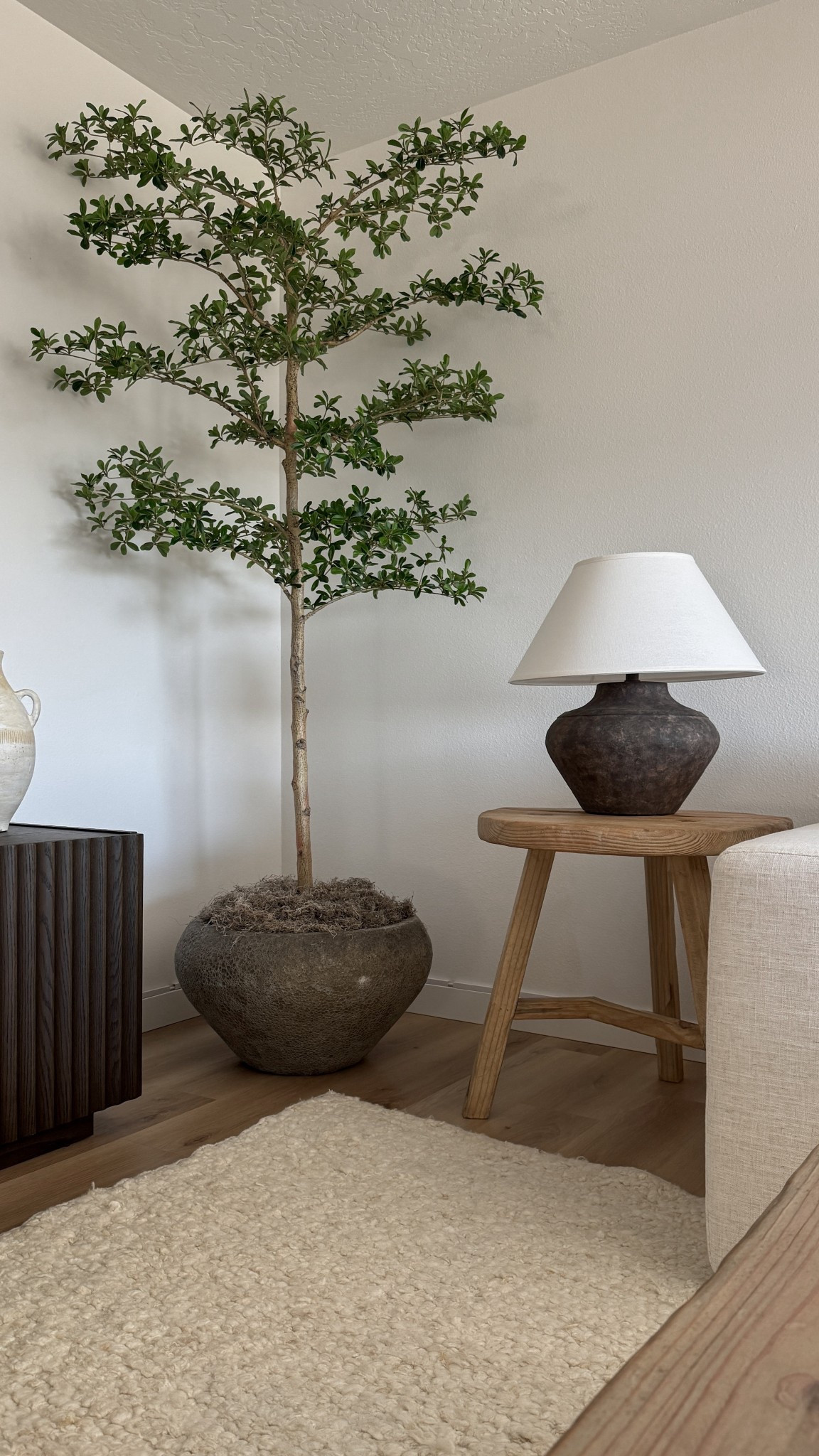 This cozy organic modern corner features an earthy potted olive tree, a round wooden side table, and a statement ceramic lamp styled next to my neutral sofa. Perfect for modern organic living room inspiration with warm textures and earthy tones. Shop my Amazon home decor finds and neutral living room essentials here. 

 #LTKHome