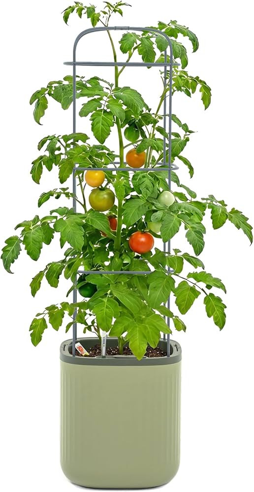 Vego garden Planters for Outdoor & Indoor Plants, Large Plant Pots with Self Watering, 55" Tall L... | Amazon (US)