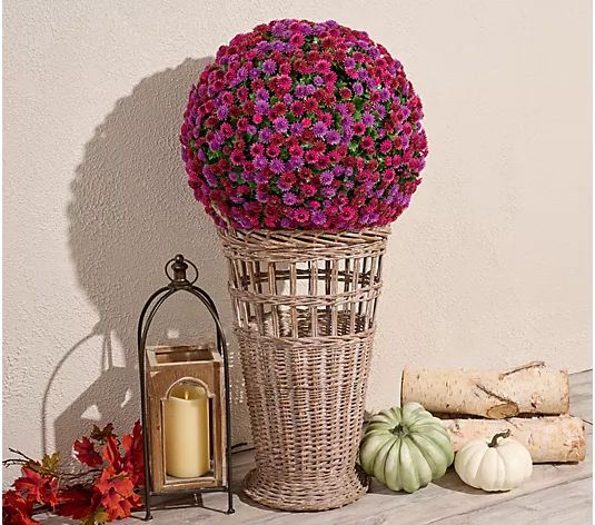 Wicker Park 20" Harvest Faux Mum Sphere - QVC.com | QVC