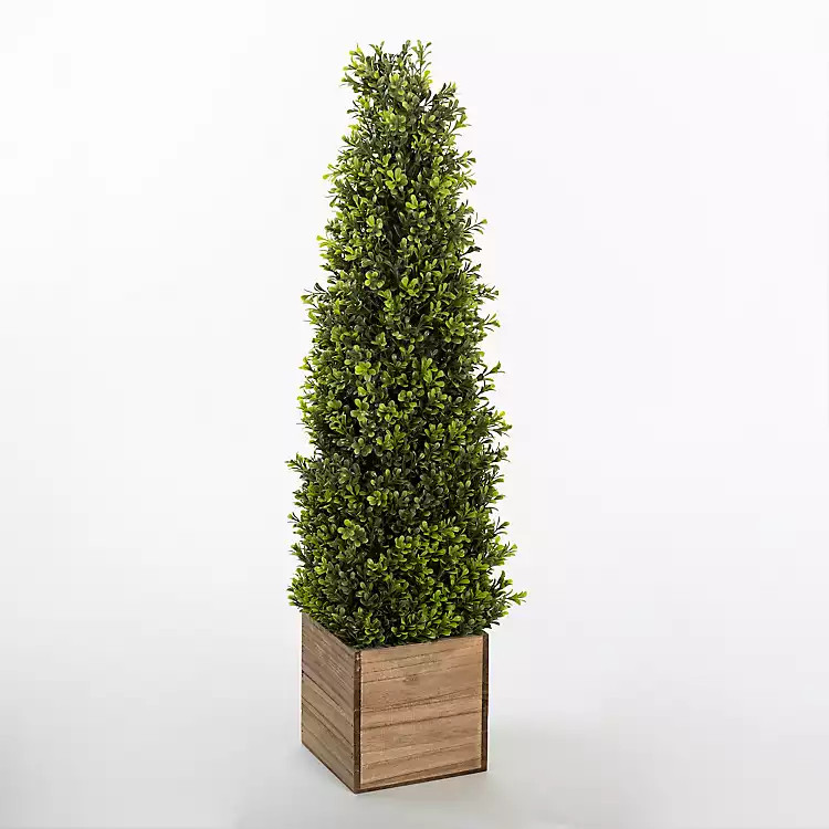 Obelisk Boxwood Topiary in Wood Box, 36 in. | Kirkland's Home