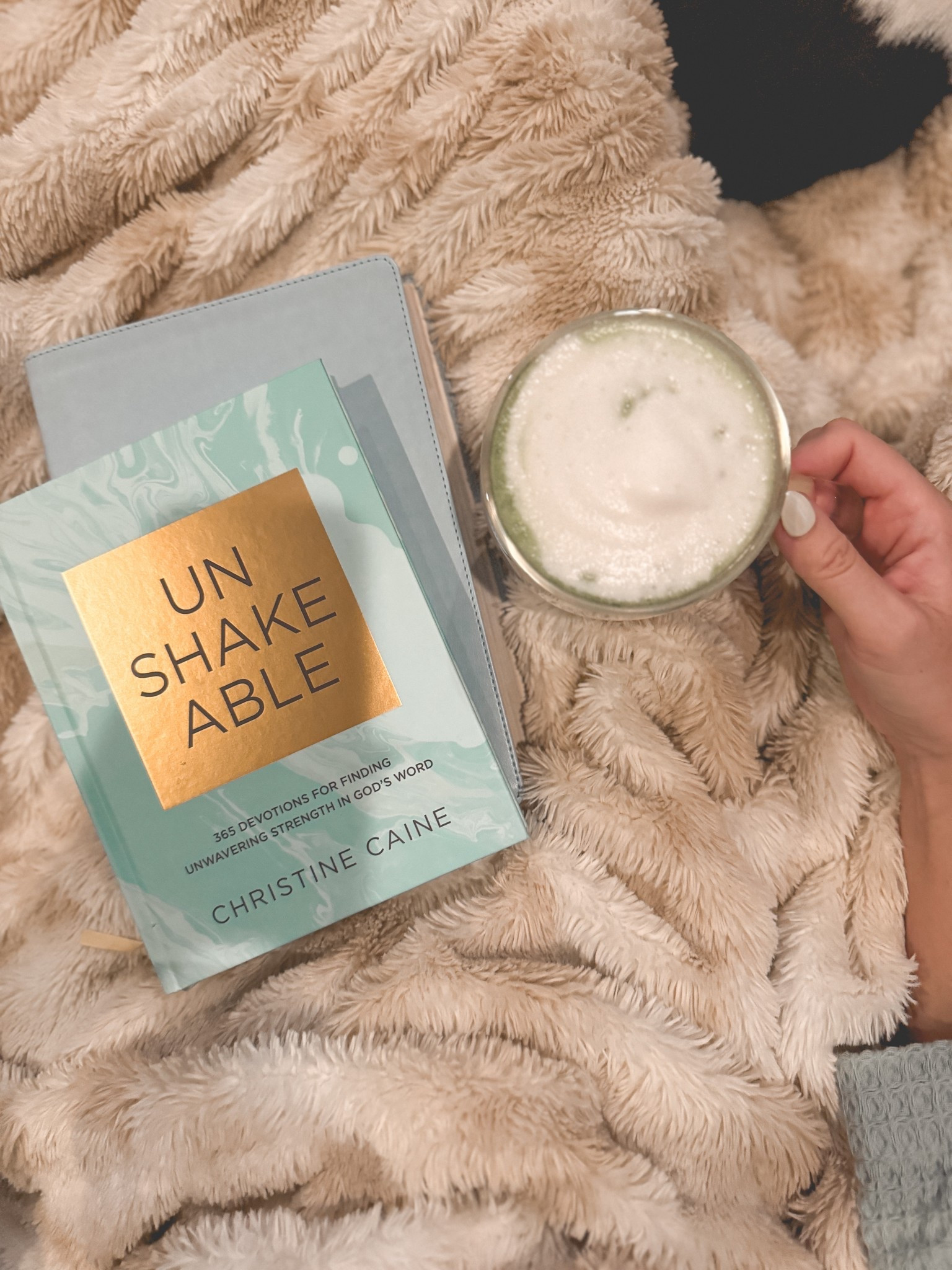 Morning routine books🙌🏻✨ start your day off RIGHT!

#LTKmorningroutine #LTKdayinmylife #LTKHome