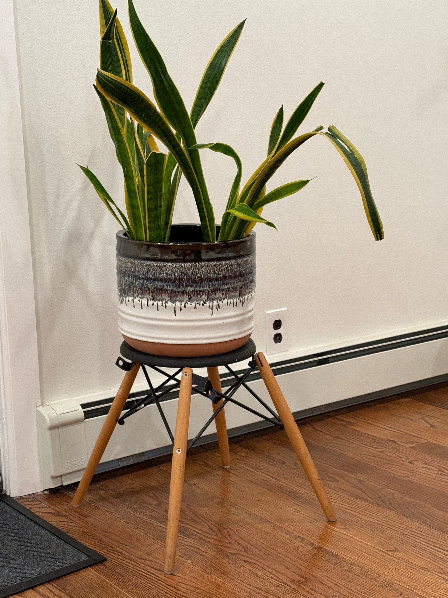 Better Homes & Gardens Pottery 12" Nikolaos Ceramic Planter

#LTKSeasonal #LTKFindsUnder50 #LTKPlusSize