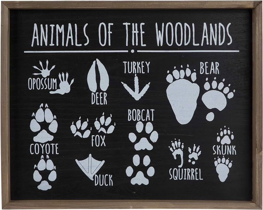 Hobby Lobby Animals of The Woodlands Tracks Hanging Wood Wall Décor | Amazon (US)