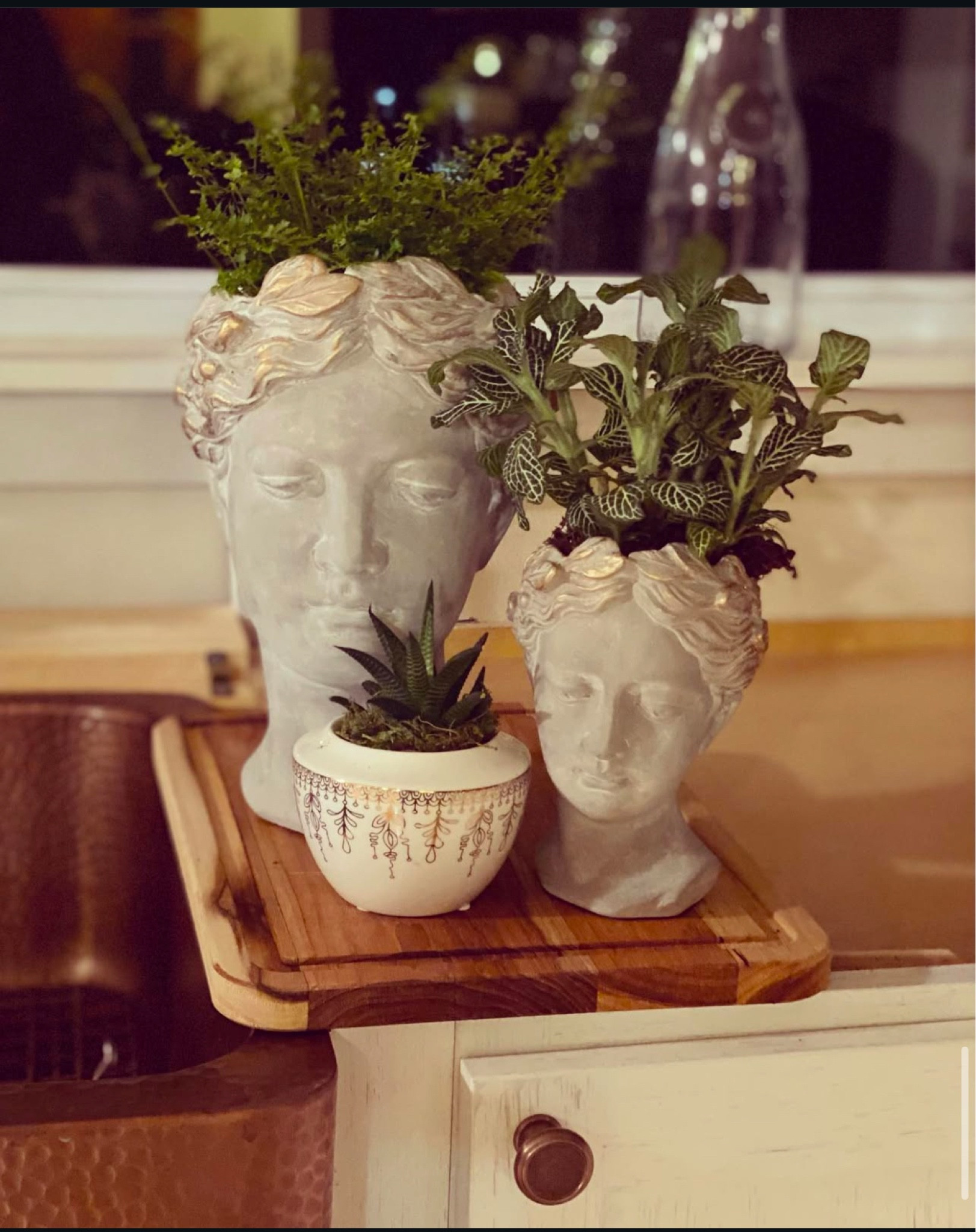 I have loved these Grecian goddess bust planters. The plants grow like hair. They are a conversation piece I call them Aphrodite. You can’t go wrong with this great gift in tîme for Valentine’s Day or summer 

#LTKMostLoved #LTKGiftGuide #LTKHome