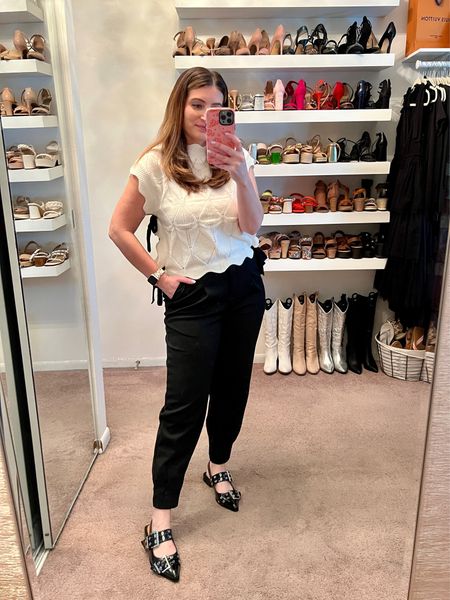 What I wore to the office this week

Tuesday - Amazon sleeveless sweater, dress pants, joggers, buckle ballet flats 


#LTKstyletip #LTKshoecrush #LTKworkwear