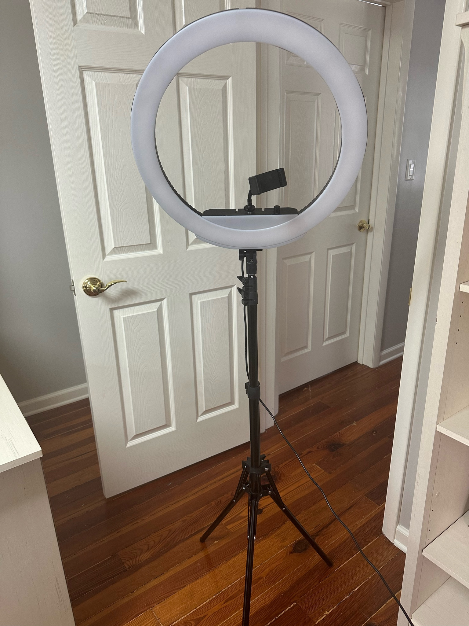 Favorite ring light but this one is a splurge! I’ve linked a cheaper one if you’re not ready for this investment.

#LTKworkwear #LTKVideo #LTKSeasonal