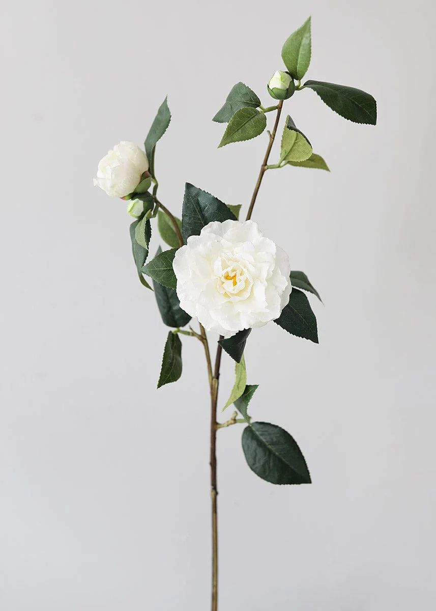 Real Touch Camellia Roses in Cream White - 35 | Afloral (US)