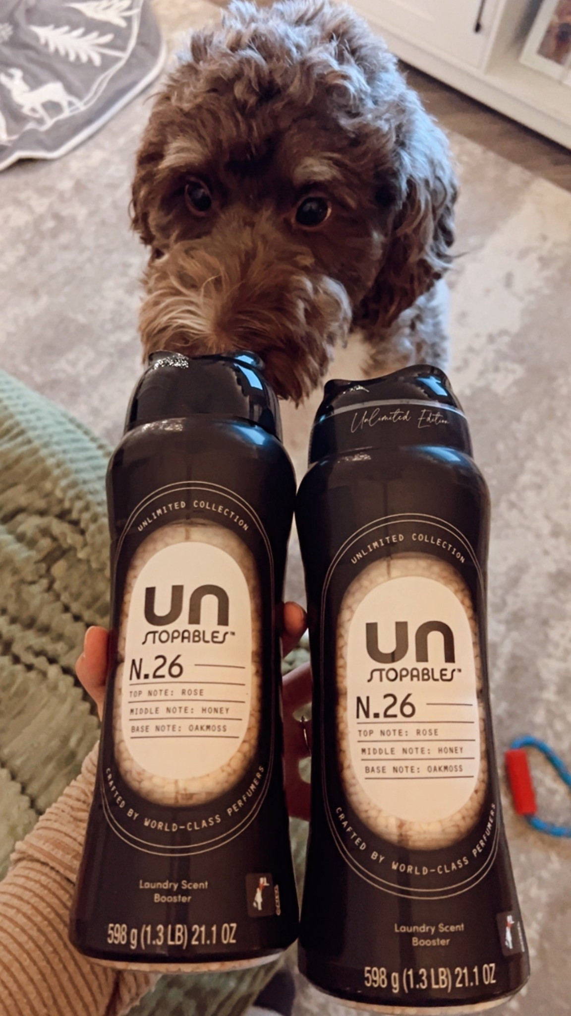 All the instagram girlies definitely influenced me on this and I am SO happy! The scent is better than I ever imagined. My house smells so luxurious and everyone keeps thinking it’s a candle! ….. Nope! .. Just my clothes and laundry room🤩🤍

#LTKHome #LTKGiftGuide #LTKselfcare