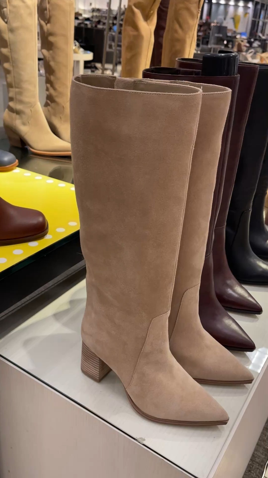 Nsale Vincent Camuto pointed toe knee high boots


#LTKSaleAlert #LTKSeasonal #LTKShoeCrush