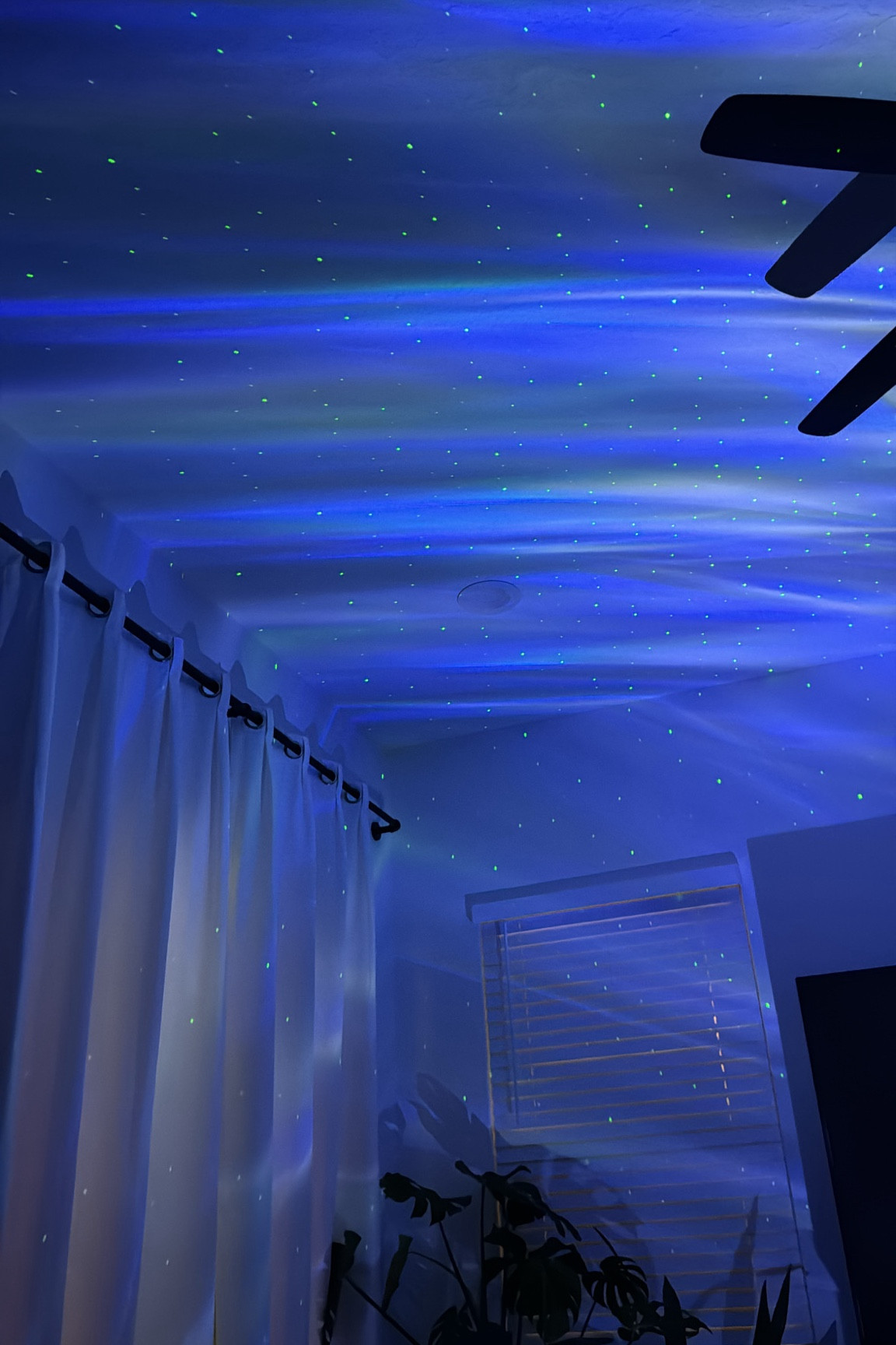 Loving this starry northern lights thing for our living. Perfect for a summer movie night! 

#LTKGiftGuide #LTKFindsUnder50 #LTKHome