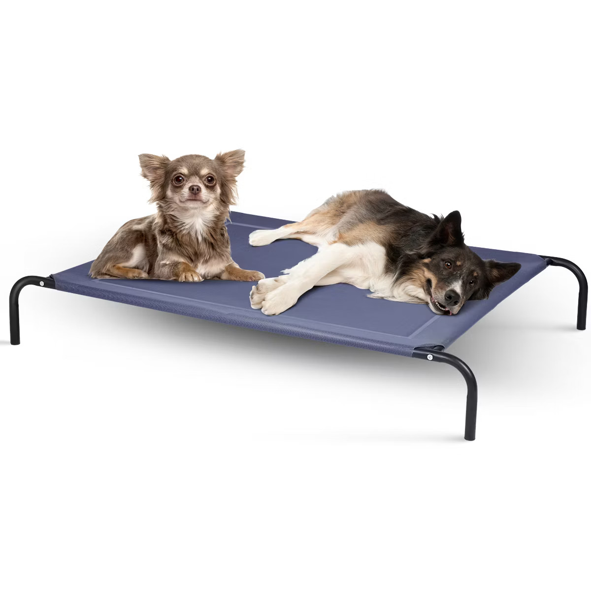 Costway Large Dog Cat Bed Elevated Pet Cot Indoor Outdoor Camping Steel Frame Mat -XL | Target