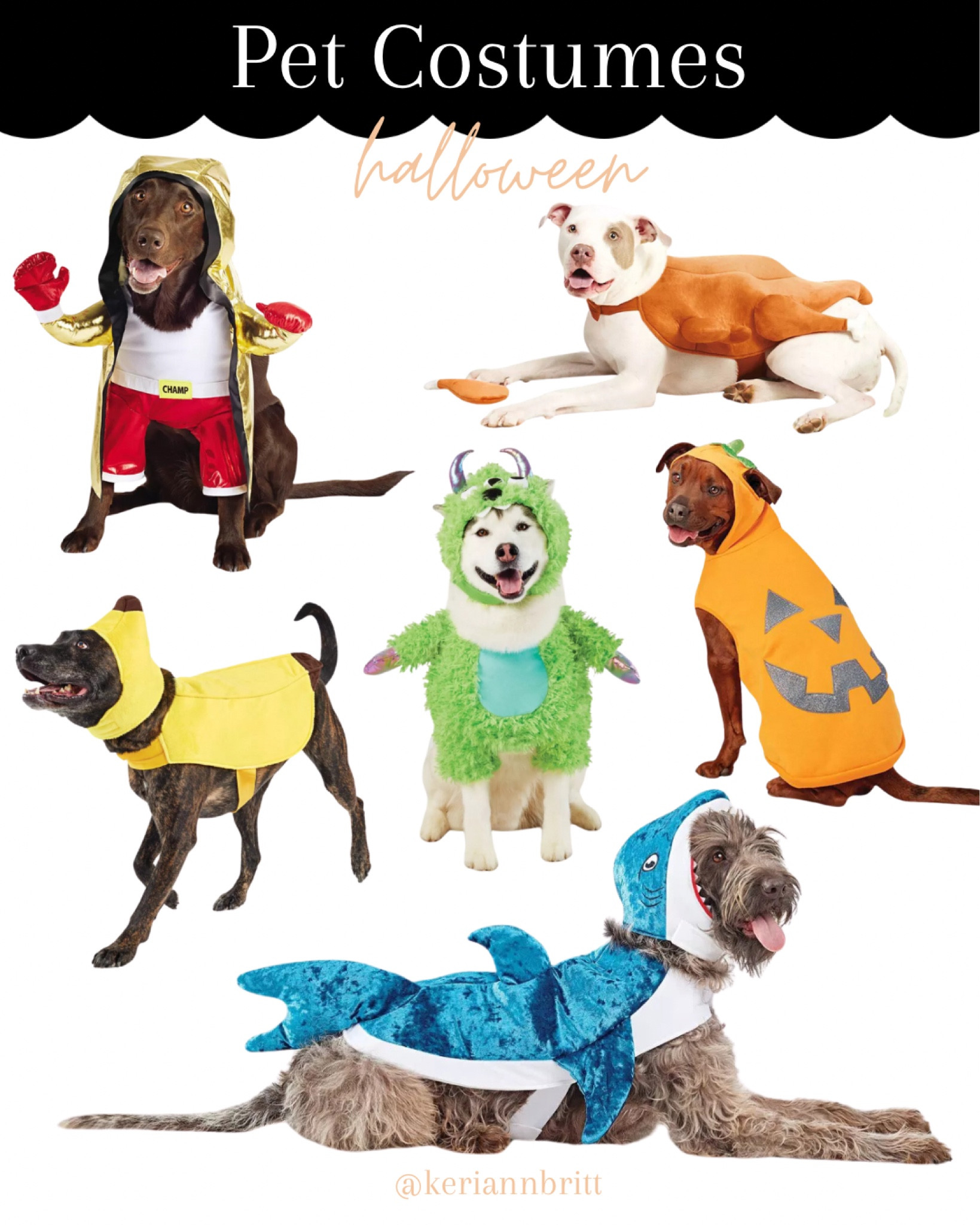 2024 Dog Halloween Costumes at Target 

#LTKFamily #LTKSeasonal