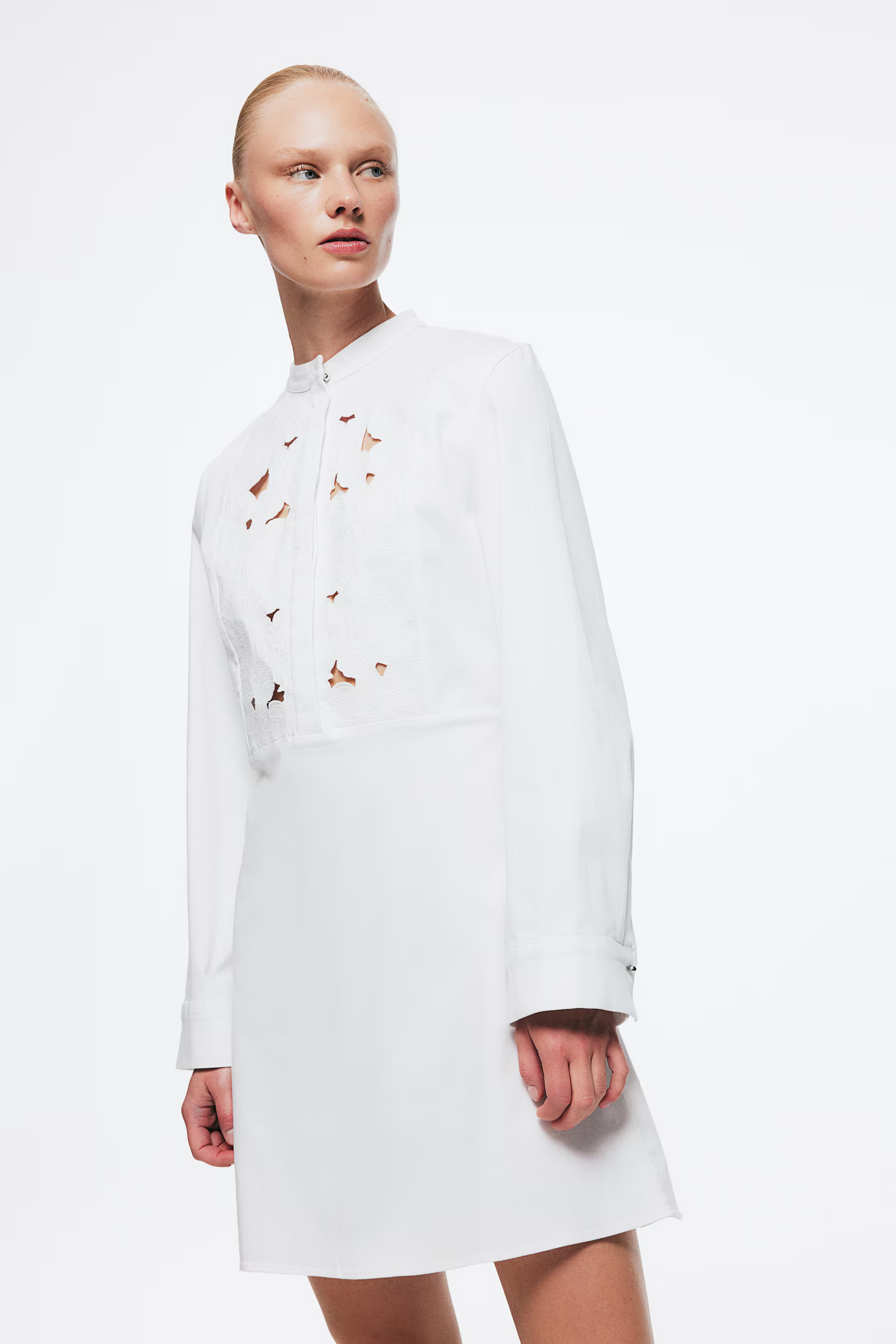 Eyelet Embroidery-Detail Dress - Round Neck - Long sleeve - White - Ladies | H&M US | H&M (US + CA)