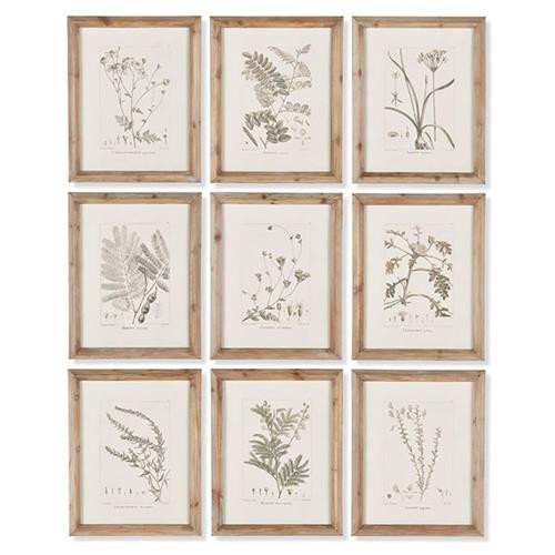 Ling French Country Brown Floral & Botanical Natural Frame Illustration | Kathy Kuo Home