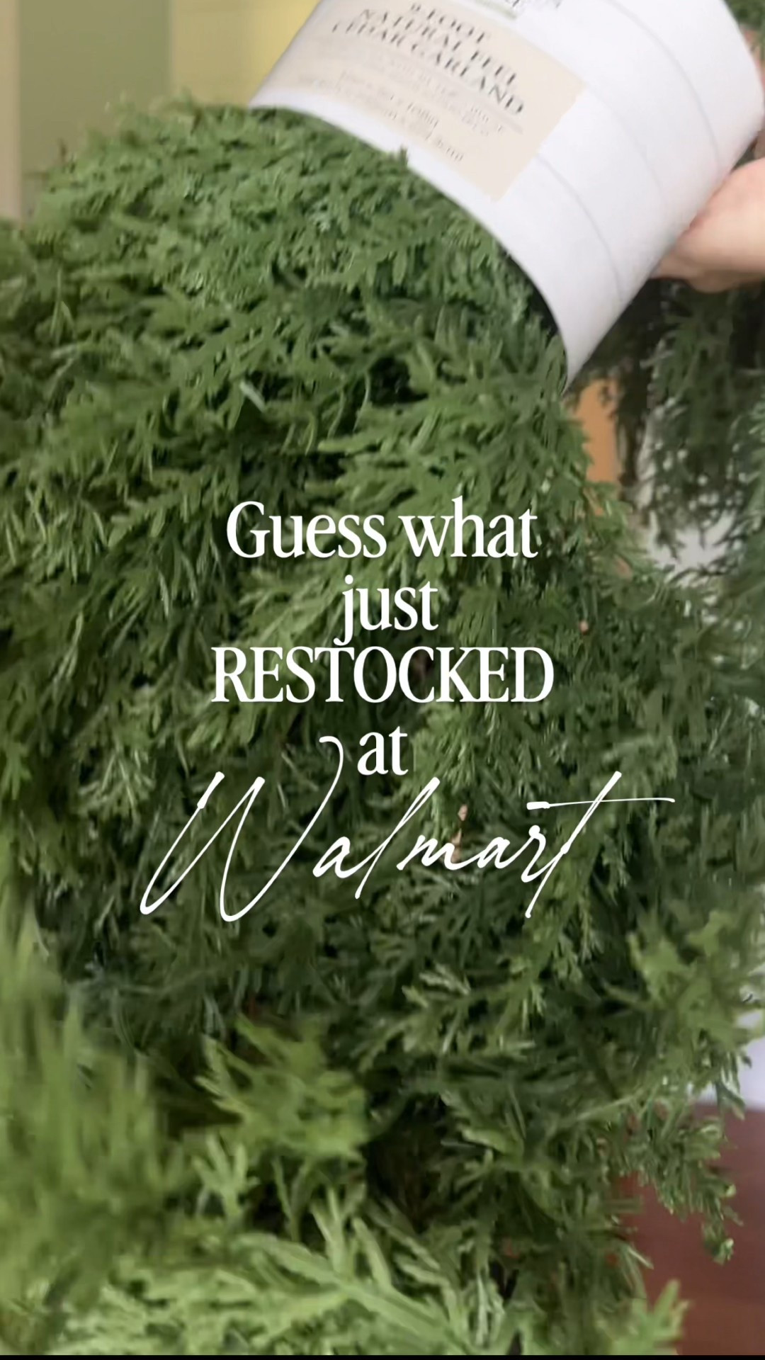 The My Texas House 9 foot cedar garland has restocked!! There is also a matching wreath and a Norfolk pine wreath! I know it’s early but we all know this will be gone! 

#LTKFindsUnder50 #LTKHome #LTKSeasonal