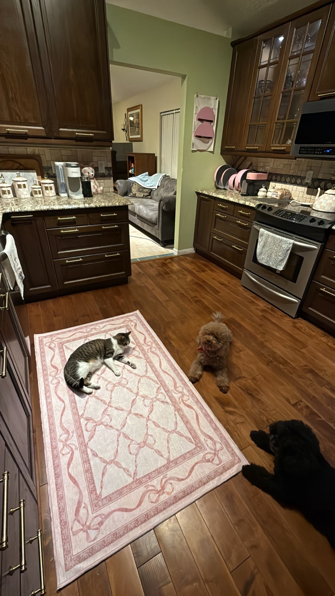 Perfect kitchen rug to go with my rosy check 🥰

#LTKHome #LTKSaleAlert #LTKSpringSale