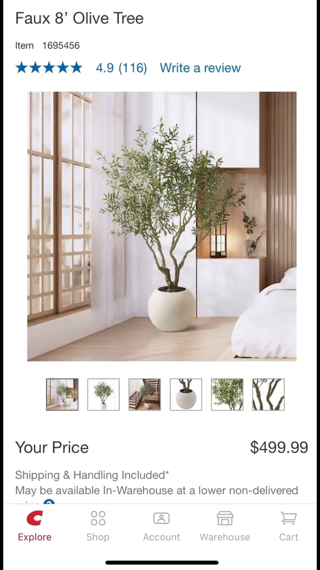 Faux olive tree, realistic faux tree, round white planter, round planter, large planter 

#LTKHome