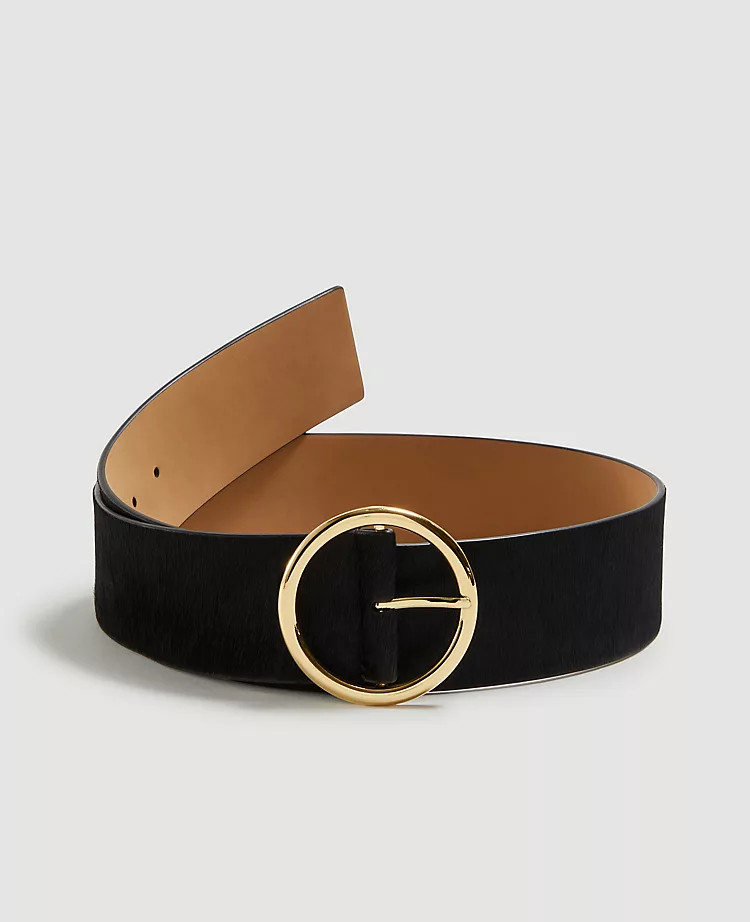 Wide Haircalf Belt | Ann Taylor | Ann Taylor (US)