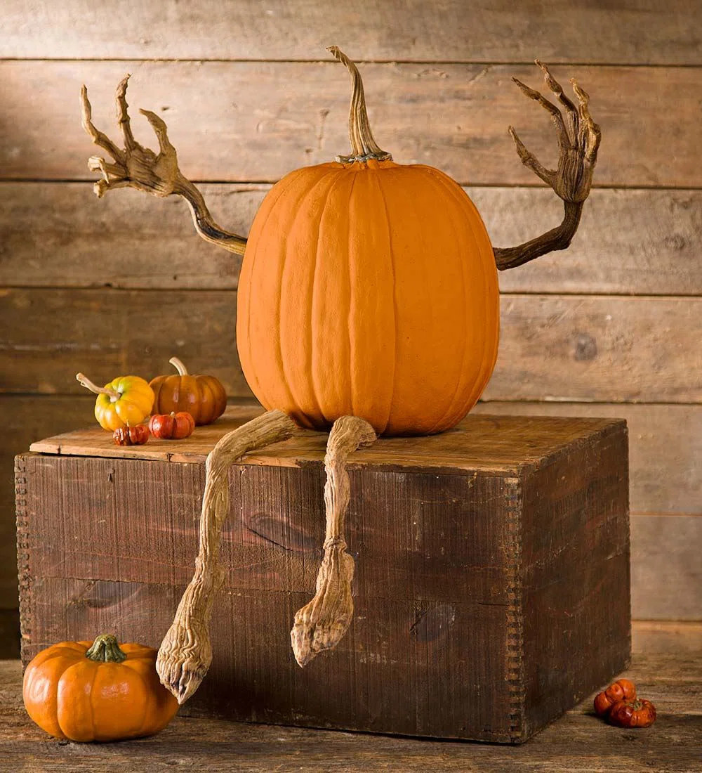 Posable Pumpkin Vine Arms and Legs Set, Includes 4 Pieces | Wayfair North America