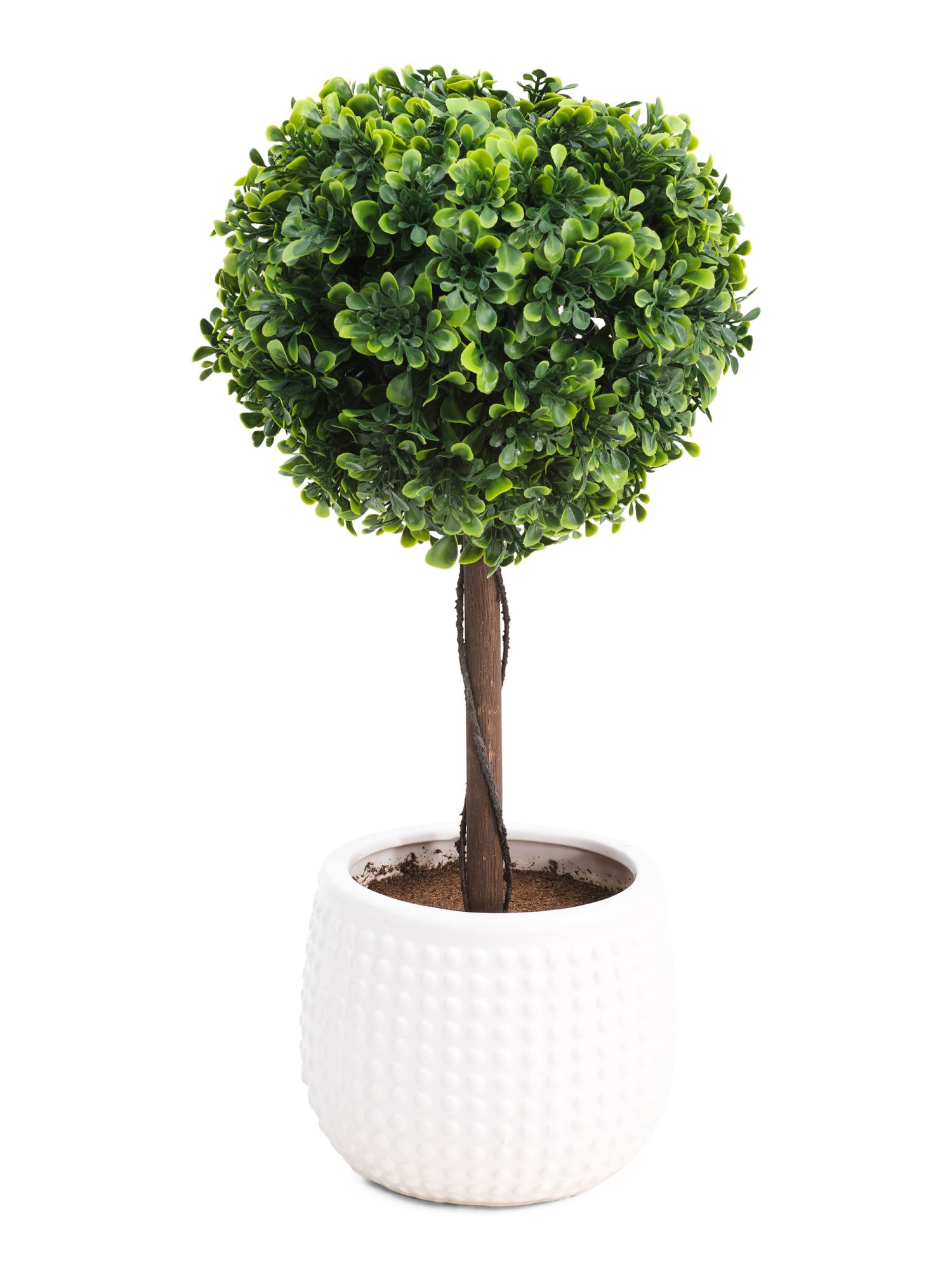 18in Boxwood Topiary In Bubble Ceramic Pot | TJ Maxx