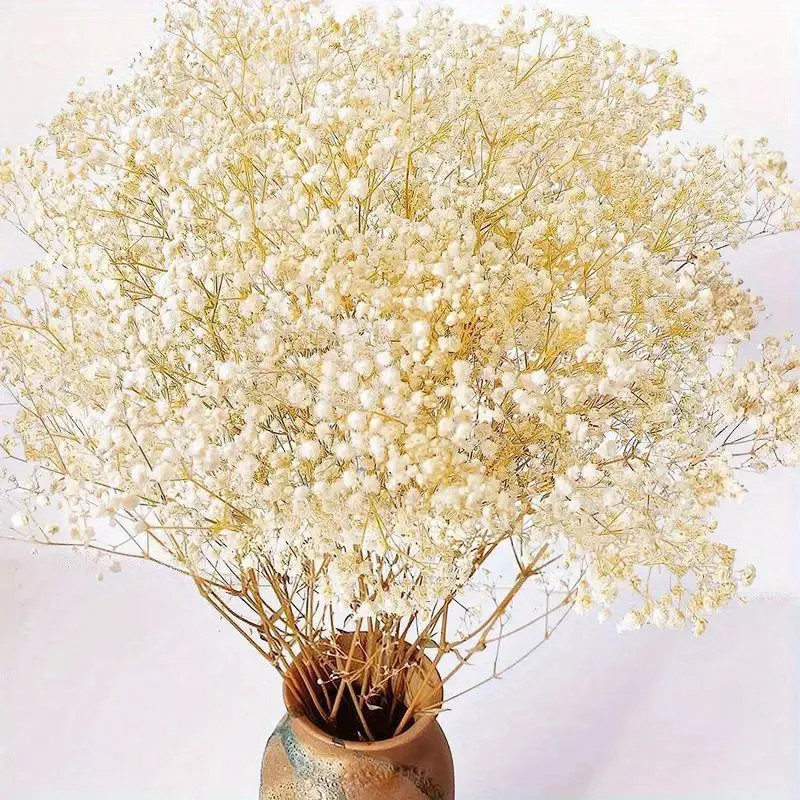 Dried Babys Breath Flowers Bouquet, Natural Gypsophila Branches For Home Decor, Gift For Mother, ... | Temu Affiliate Program