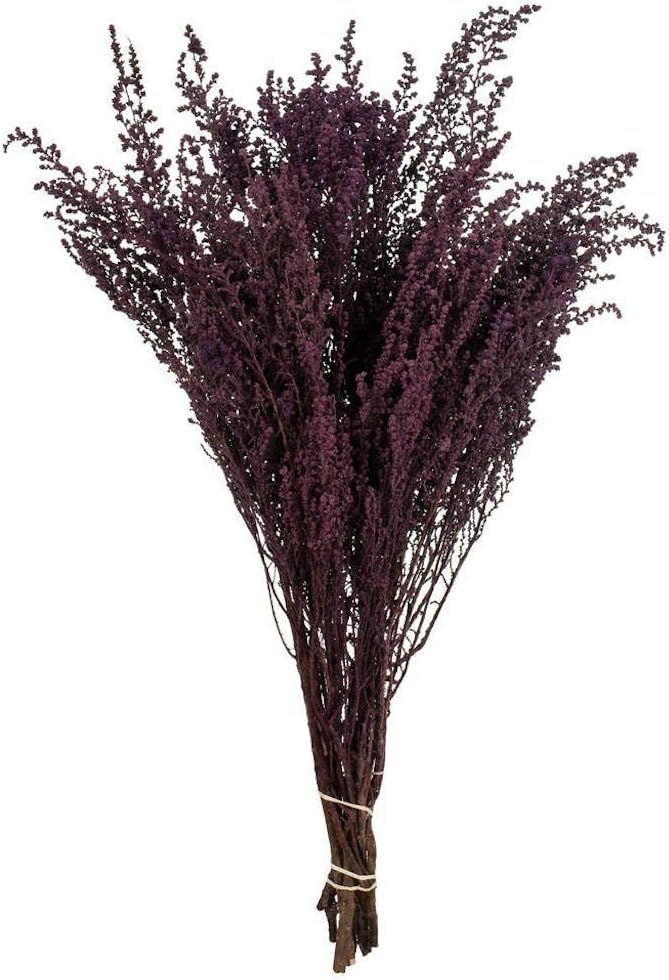 Vickerman 655399-14-18" Violet Stoebe 2Pk 10oz (H1STB575-2) Dried and Preserved Foliage | Amazon (US)