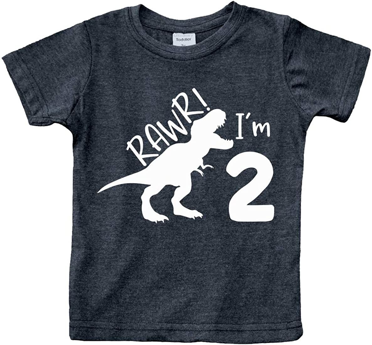 2nd Birthday Shirt boy Dinosaur rawr im 2 Toddler Two Year Old Second Dino Outfit | Amazon (US)