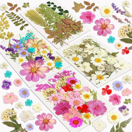 Dried Flowers, Resiners 100Pcs Pressed Flowers for Craft Purple Real Natural Dried Flowers Dry Leaves Kit for DIY Making Crafts Resin Soap Candle Scrapbook Supplies Card Making Jewelry | Amazon (US)