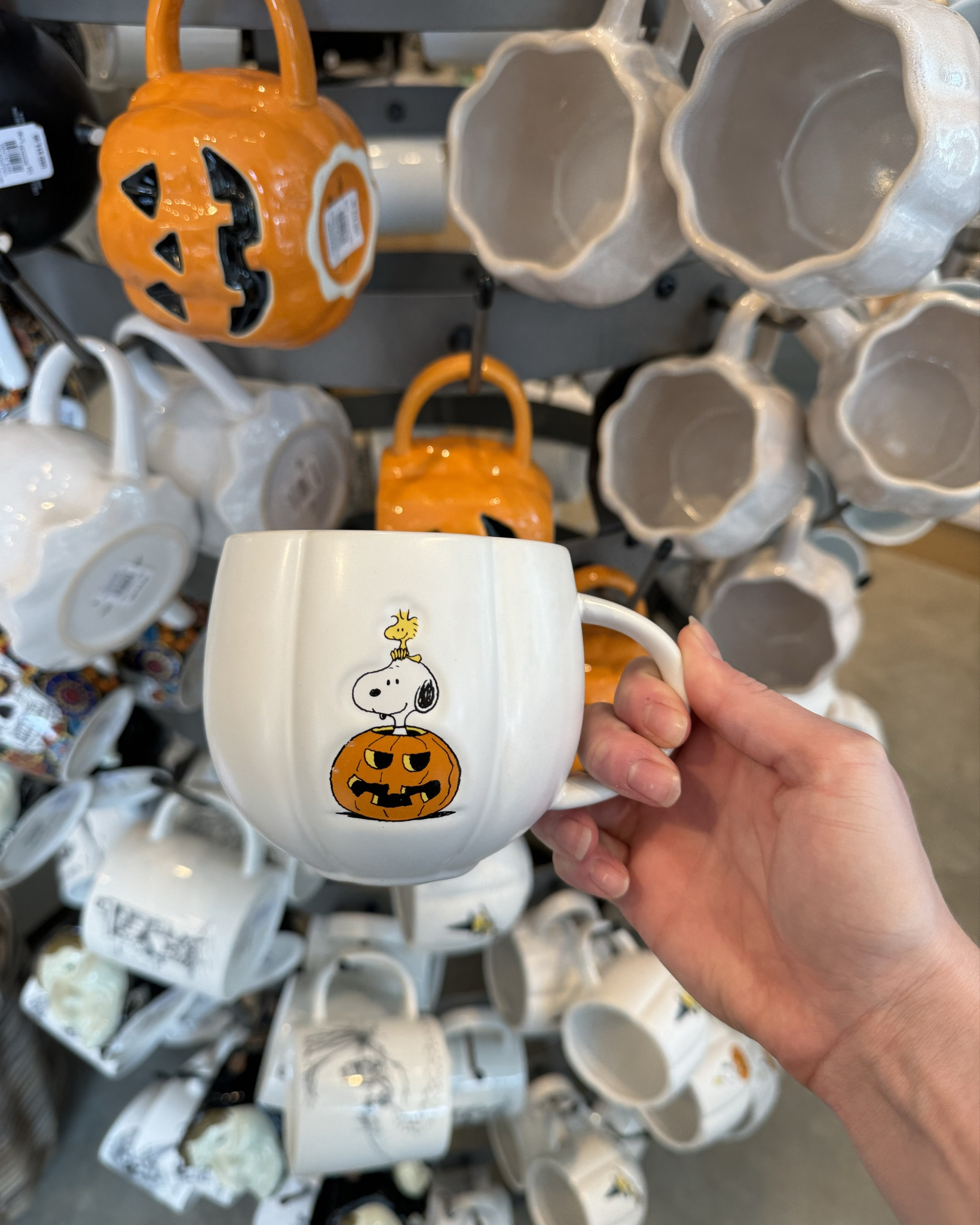 The PEANUTS collection from William Sonoma was sooo cute!!

Charlie Brown fall, peanuts decor, Charlie Brown dishware, fall Halloween table dishware 

#LTKFindsUnder100 #LTKFindsUnder50 #LTKSeasonal