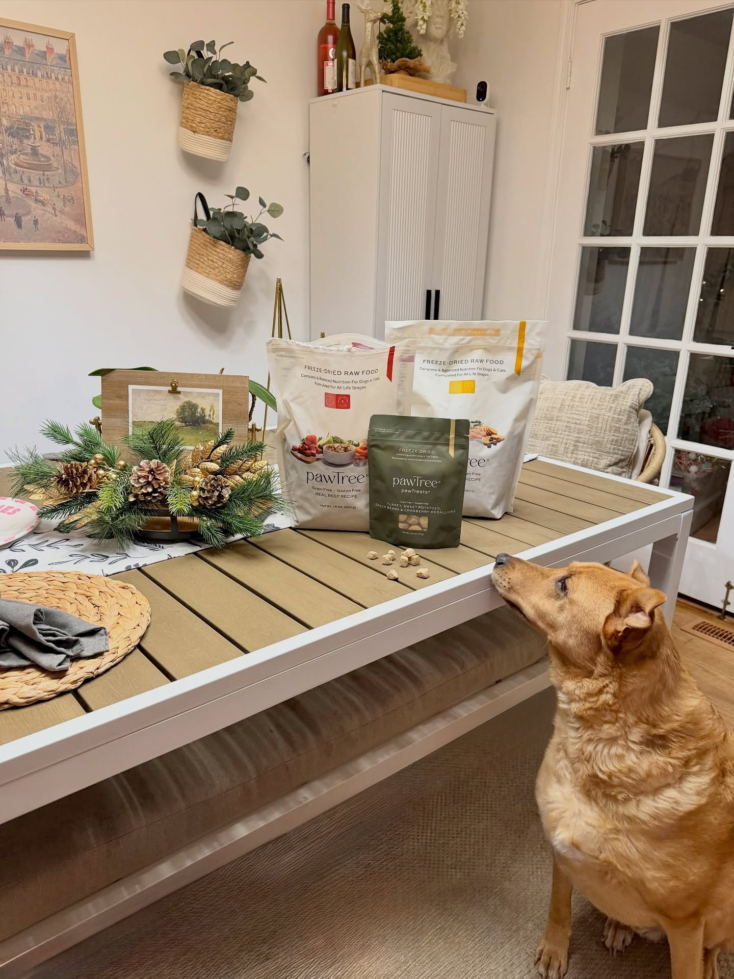 Put up our Christmas decor and brought in the gifts for the pups 🎁




#LTKHome #LTKmorningroutine #LTKdayinmylife