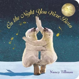 On the Night You Were Born (Board Book) by Nancy Tillman | Target