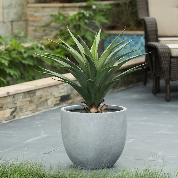 Round Indoor/Outdoor MgO Planter - LARGE - White | Bed Bath & Beyond