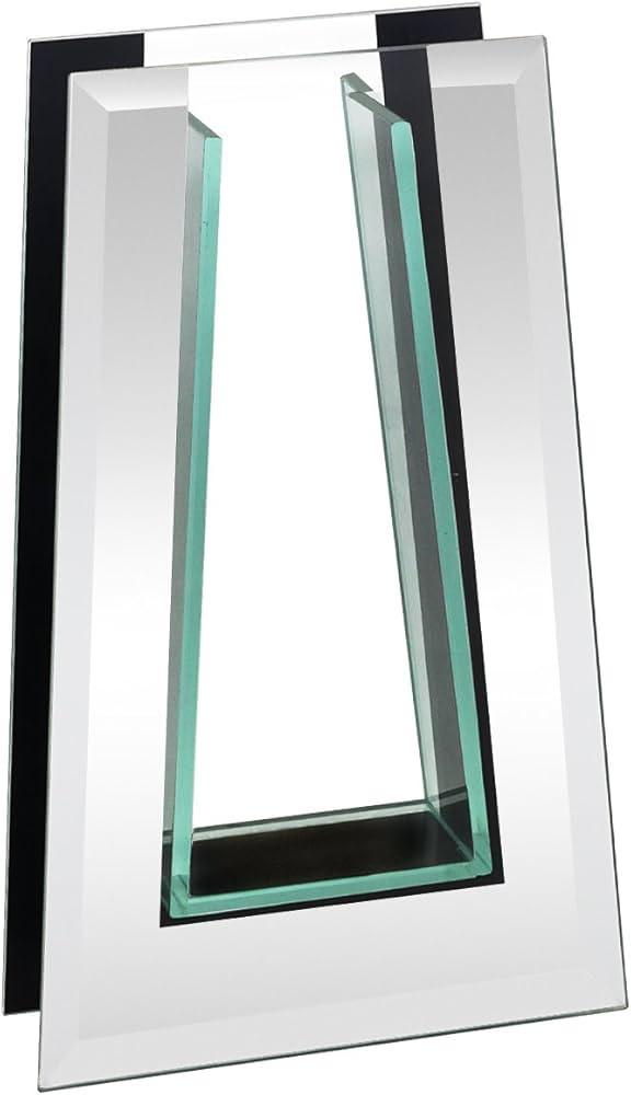 Royal Imports Flower Mirror Glass Vase - 10" Tall Tapered - Decorative Modern Floral Centerpiece ... | Amazon (US)