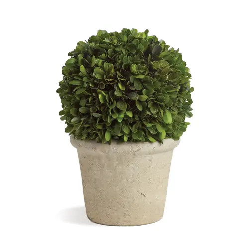 Napa Home & Garden Boxwood 8" Faux (Fake) Ball In Pot in Green at Nordstrom | Nordstrom