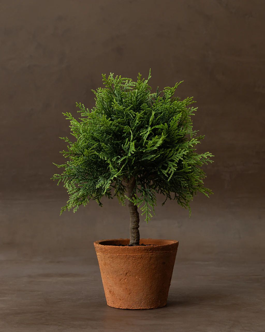 Faux Cypress Potted Topiary | McGee & Co.