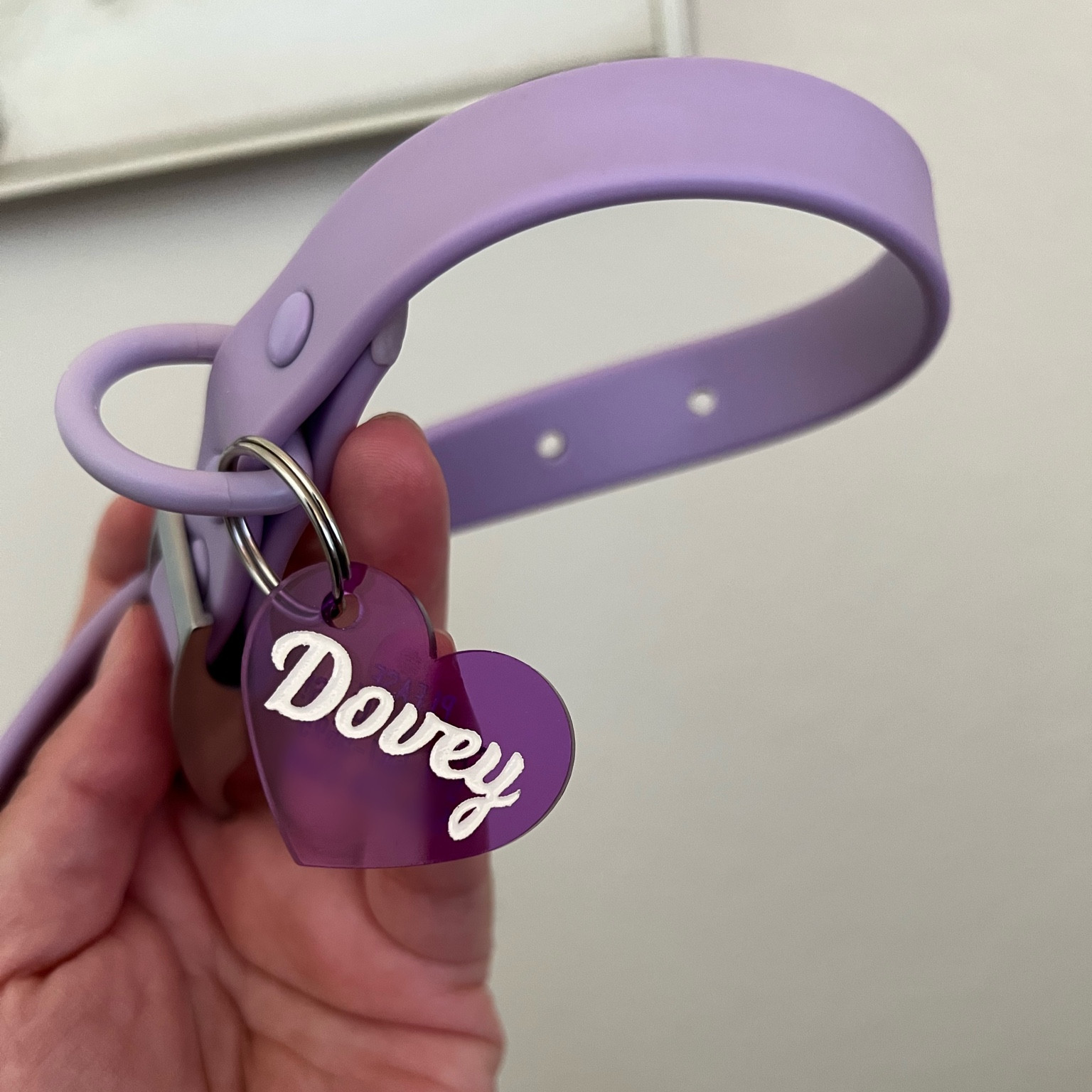 Puppy Collar 🐾

#LTKfamily #LTKhome #LTKunder50