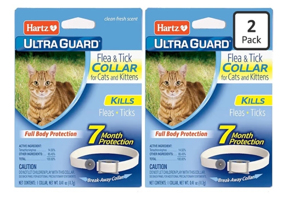 Cat collar, kitten collar, flea and tick collar, animal collars, summer, amazon finds

#LTKHome #LTKSaleAlert #LTKU