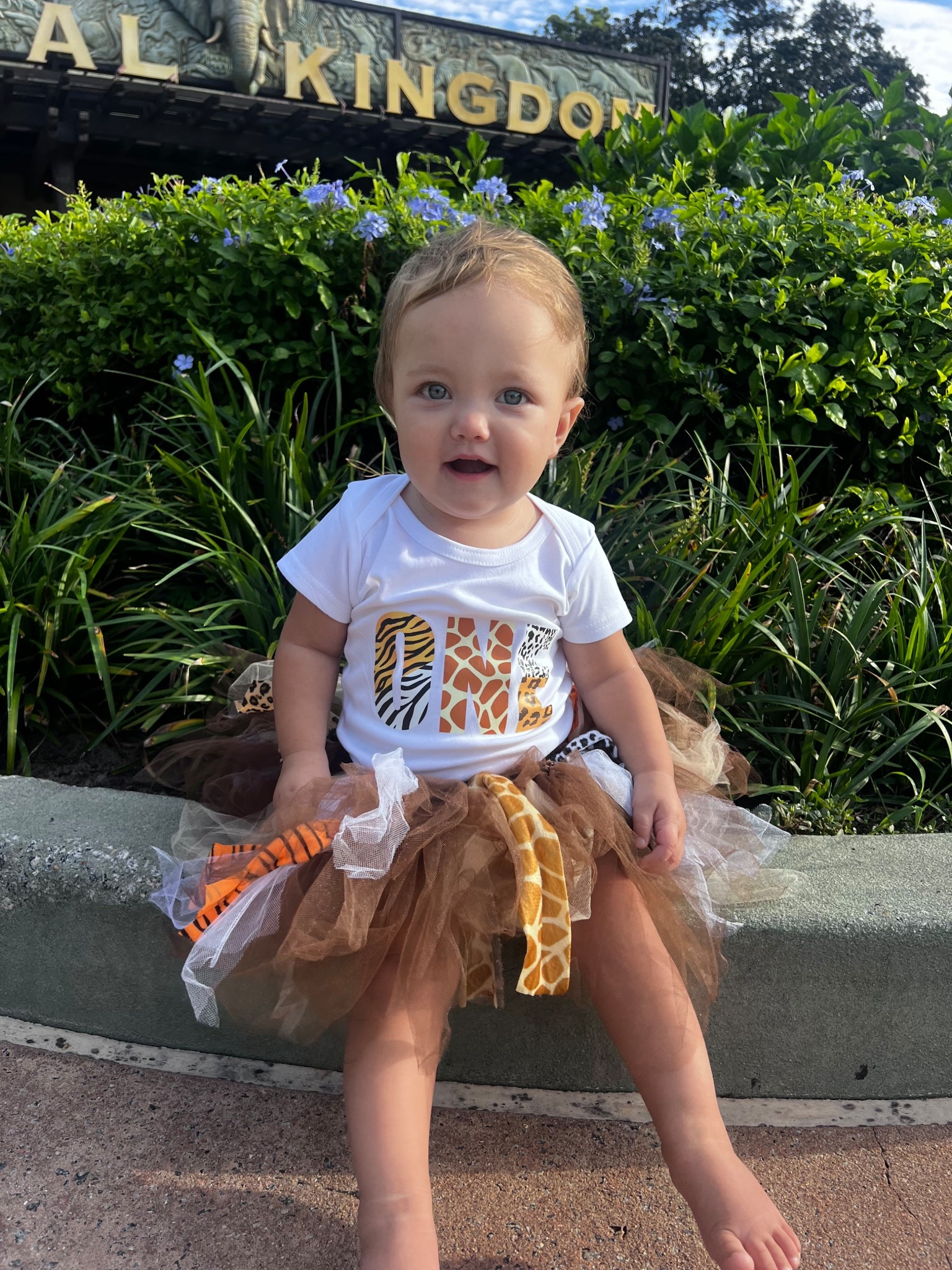 One year birthday outfit for Disney world animal kingdom 



#LTKTravel #LTKKids #LTKBaby