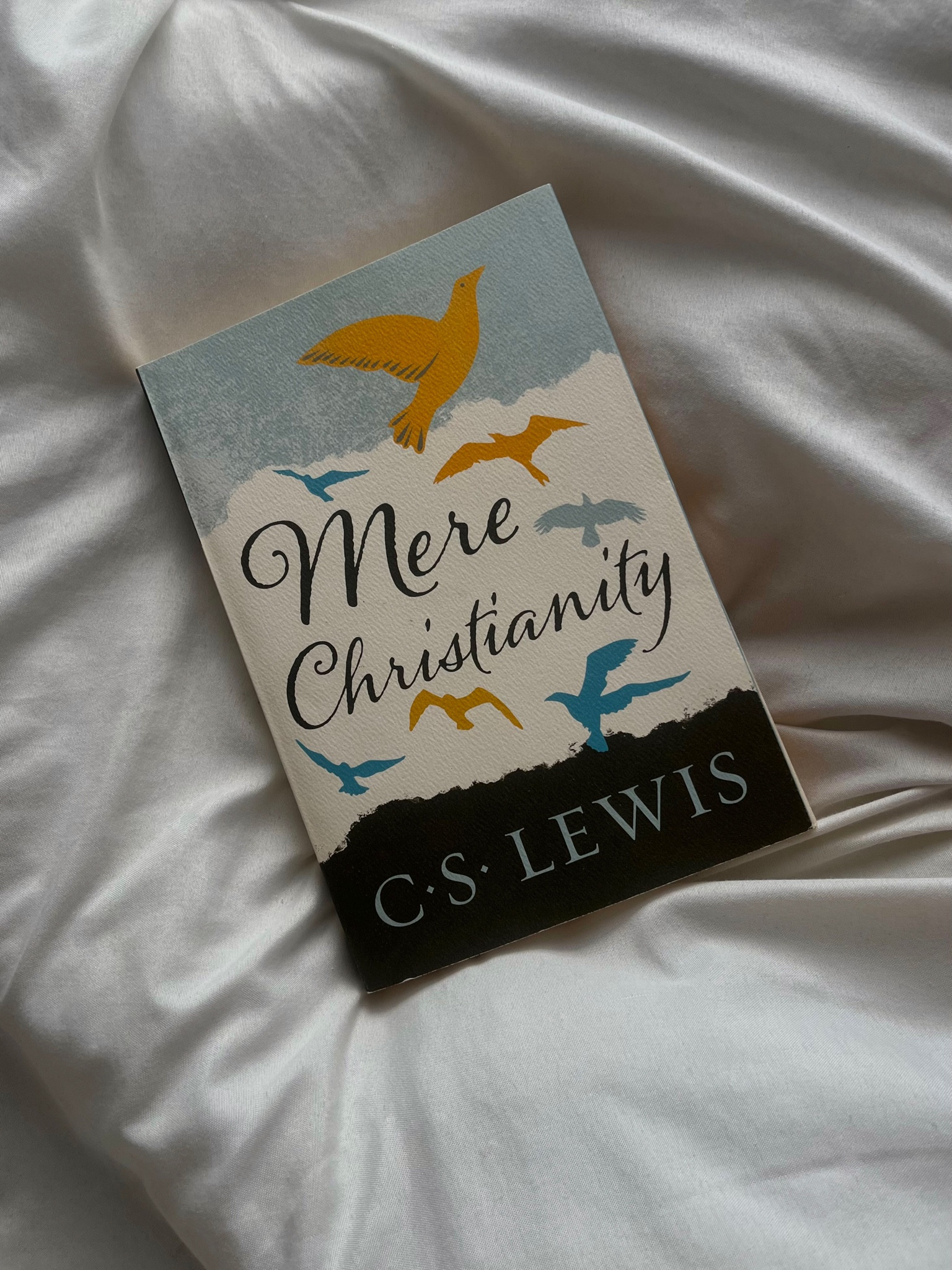 Mere Christianity by CS Lewis 🕊️

A great read if you’re looking for Christian book recommendations 🤍

#merechristianity #christianbooks #booktok #books #bookreccomendations #cslewis #reading

#LTKhome