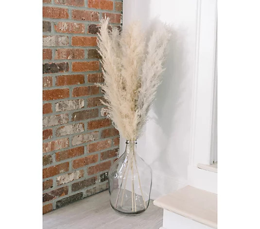 15" Vintage Inspired Glass Blown Jug by Lauren McBride - QVC.com | QVC