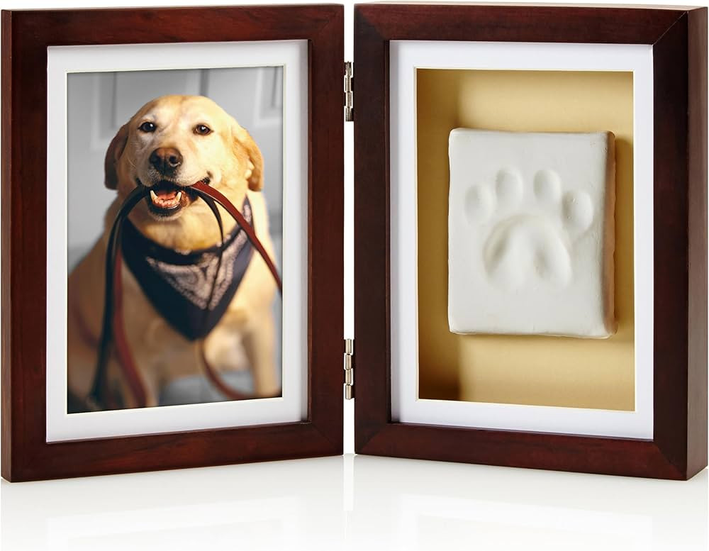 Pearhead Pet Paw Print Photo Frame With Clay Imprint Kit - Pawprint Making Kit and Photo Display ... | Amazon (US)