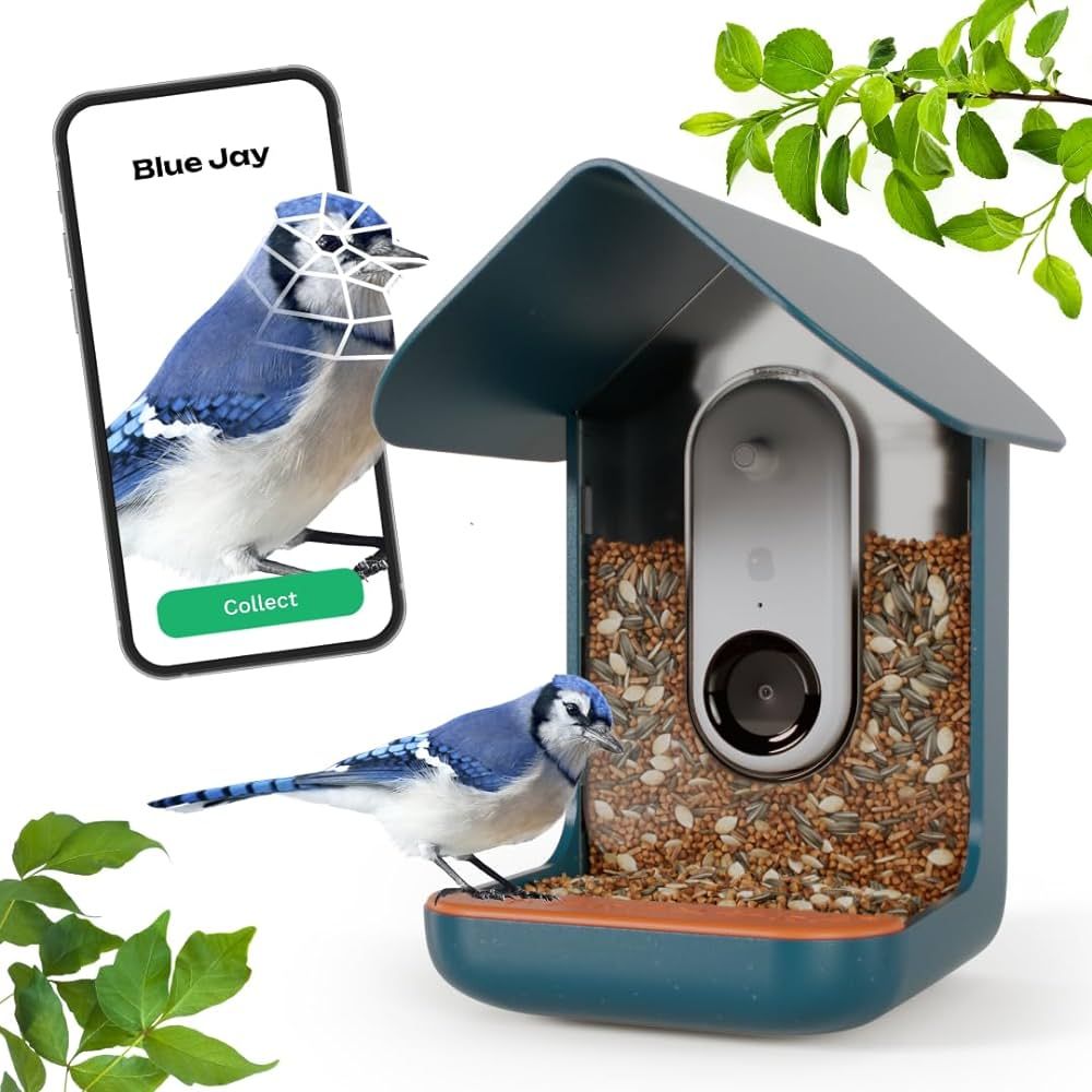 BIRD BUDDY® Smart Bird Feeder with HD Camera for Beautiful Close-ups and Unique Bird Watching | Amazon (US)