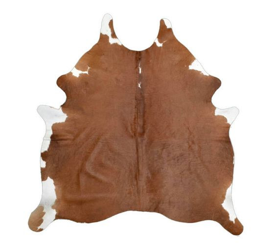 Brown | Pottery Barn (US)