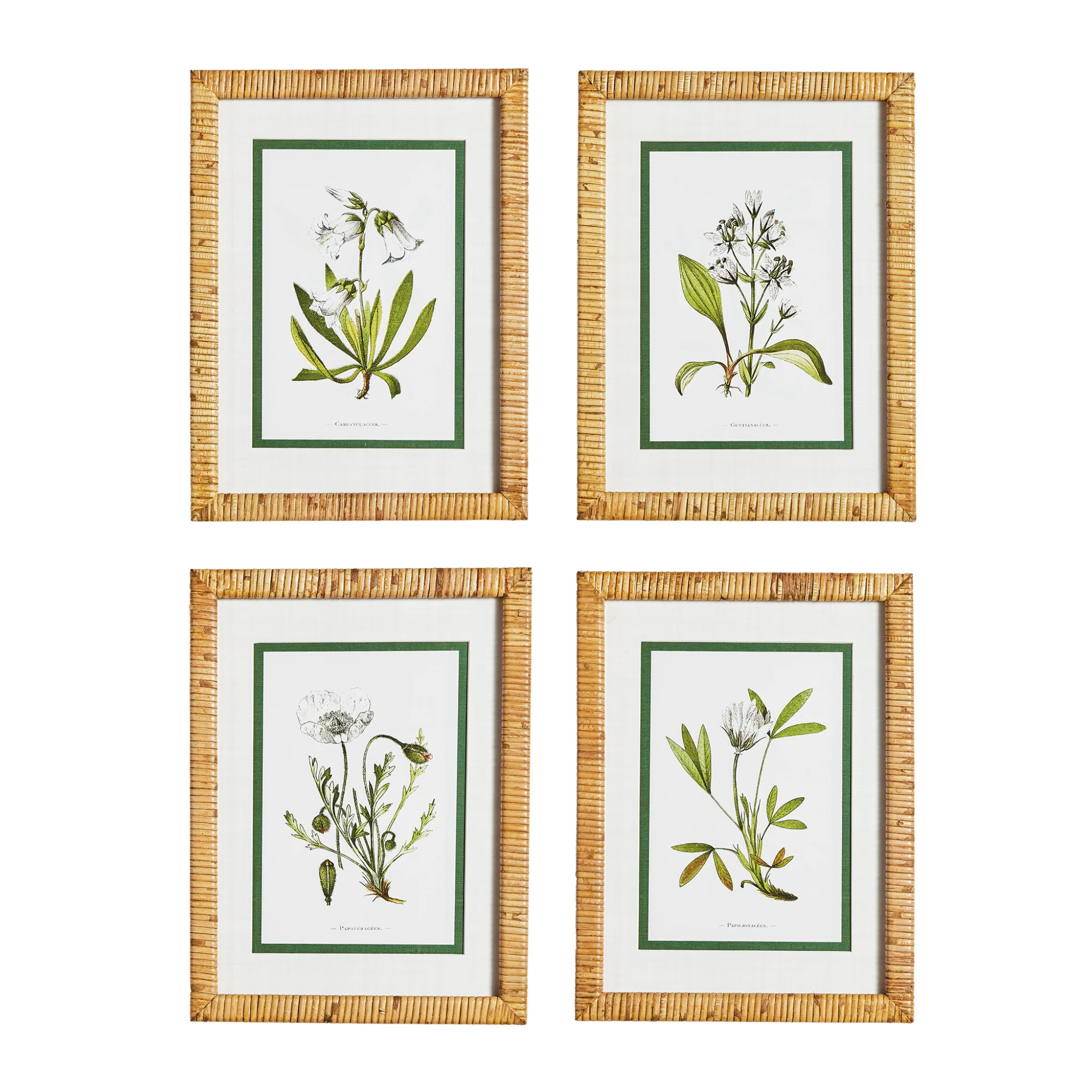 Set of Four Framed White Floral Study Prints Wall Art | The Well Appointed House, LLC