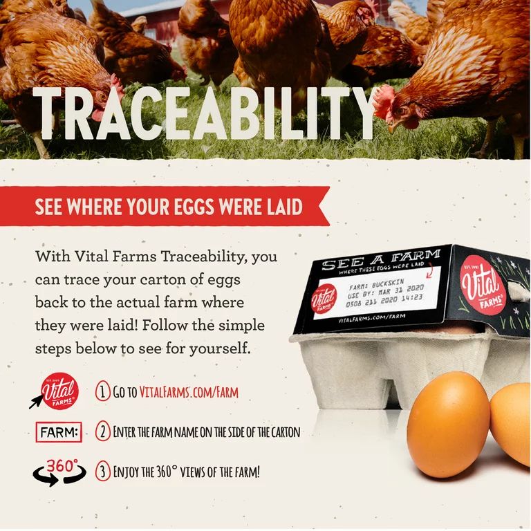 Vital Farms Pasture Raised Grade A Large Brown Eggs, 12 Count | Walmart (US)