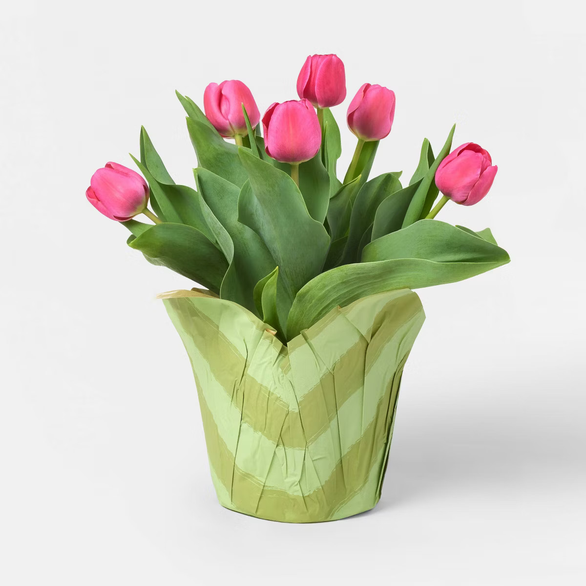Mother's Day 6" Potted Tulip - Good Little Garden™ | Target