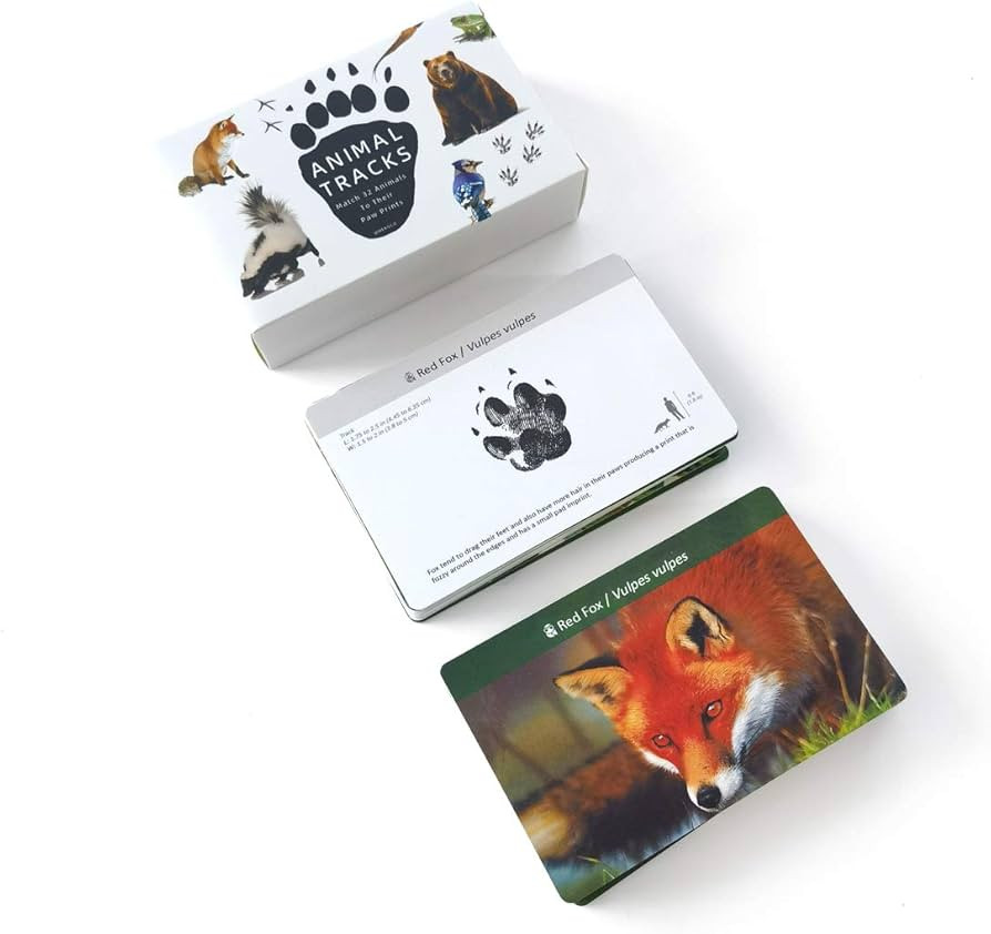 MEROCO Forest Animal Track Game Flash Cards | Amazon (US)
